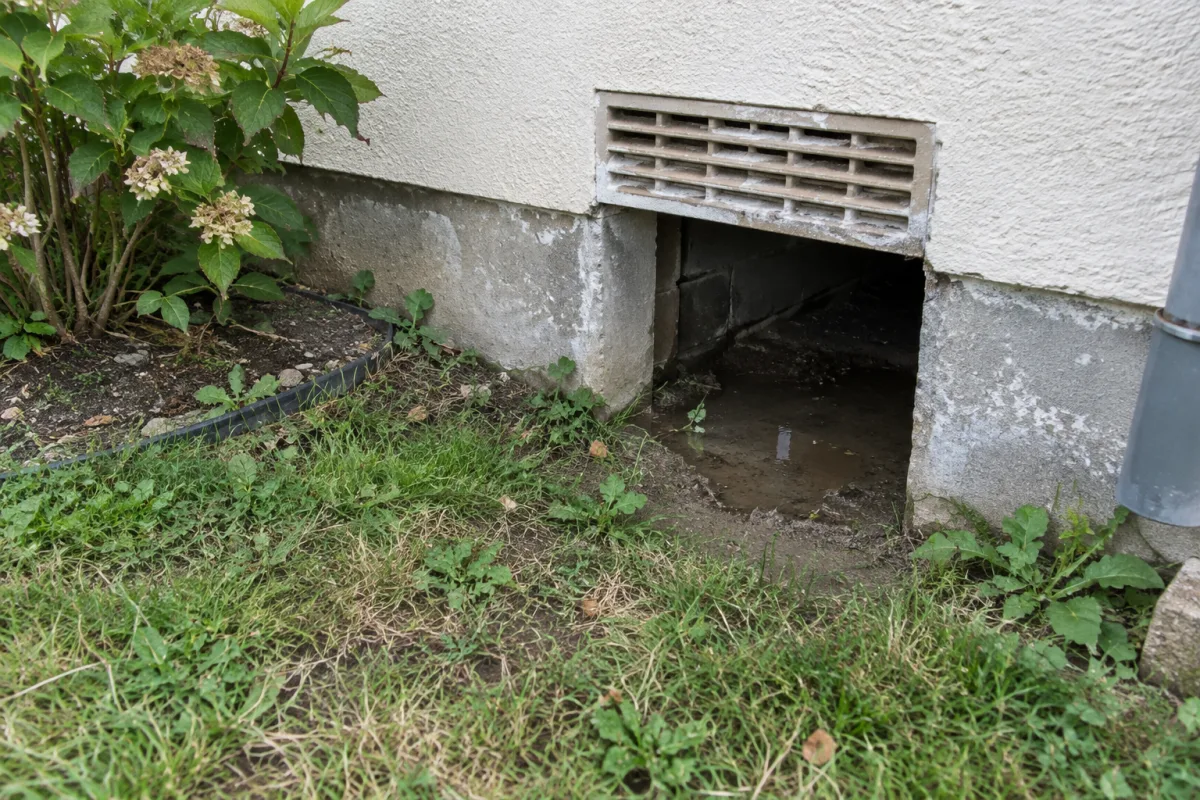 Dans un jardin de commune en France, une bouche d’aération donne sur un vide sanitaire humide où une petite flaque d’eau stagne près des fondations