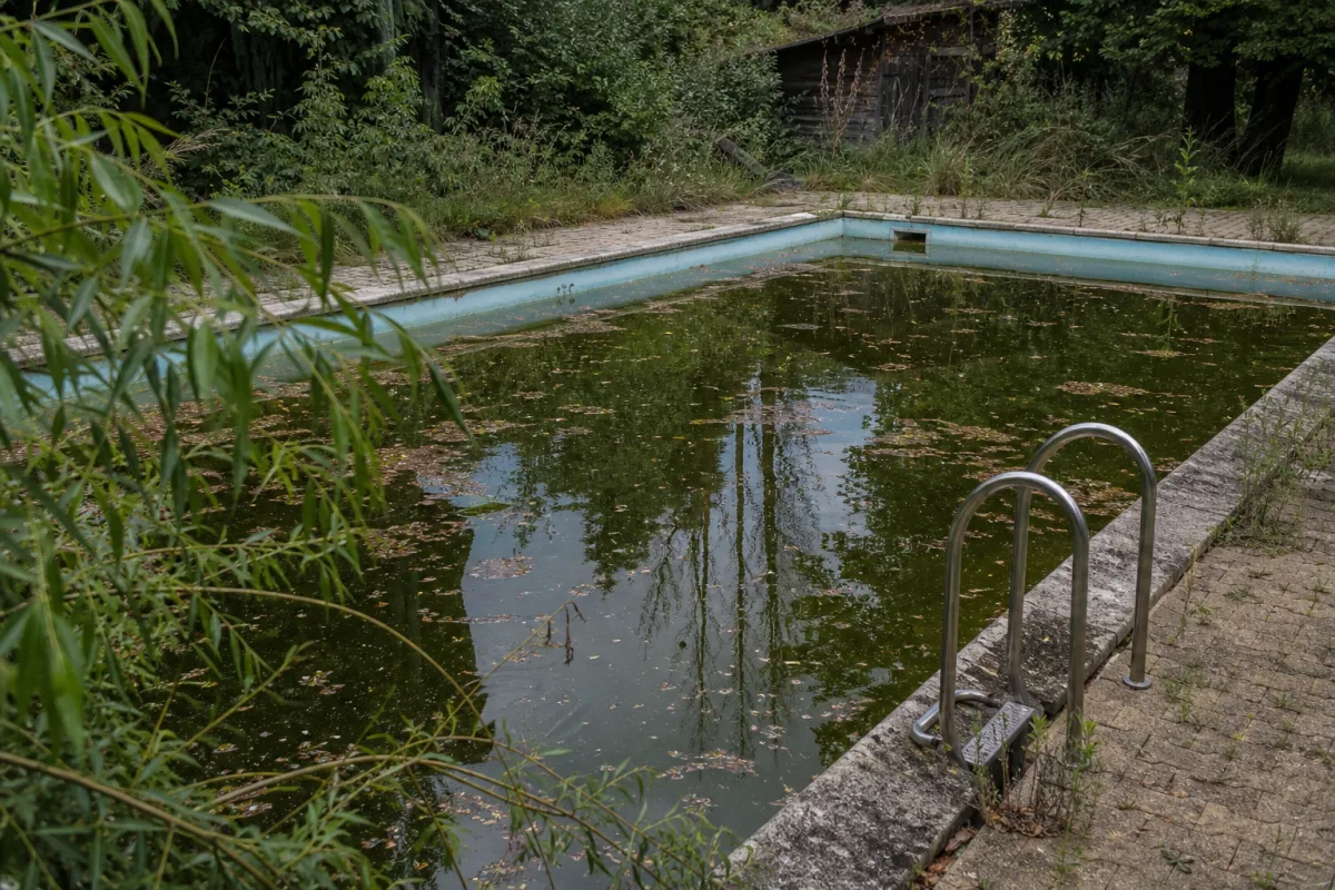Piscine abandonnée à l’eau verte, gîte à moustiques