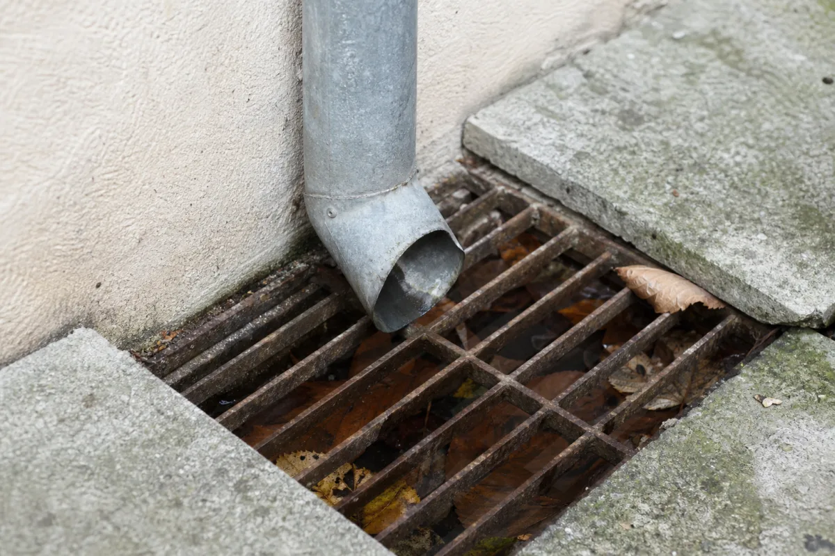 Regard au pied d’une descente d’eau pluviale avec de l’eau stagnante