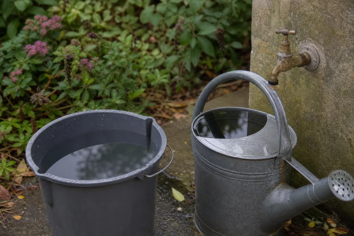Seau et arrosoir remplis d’eau de pluie près d’un robinet de jardin