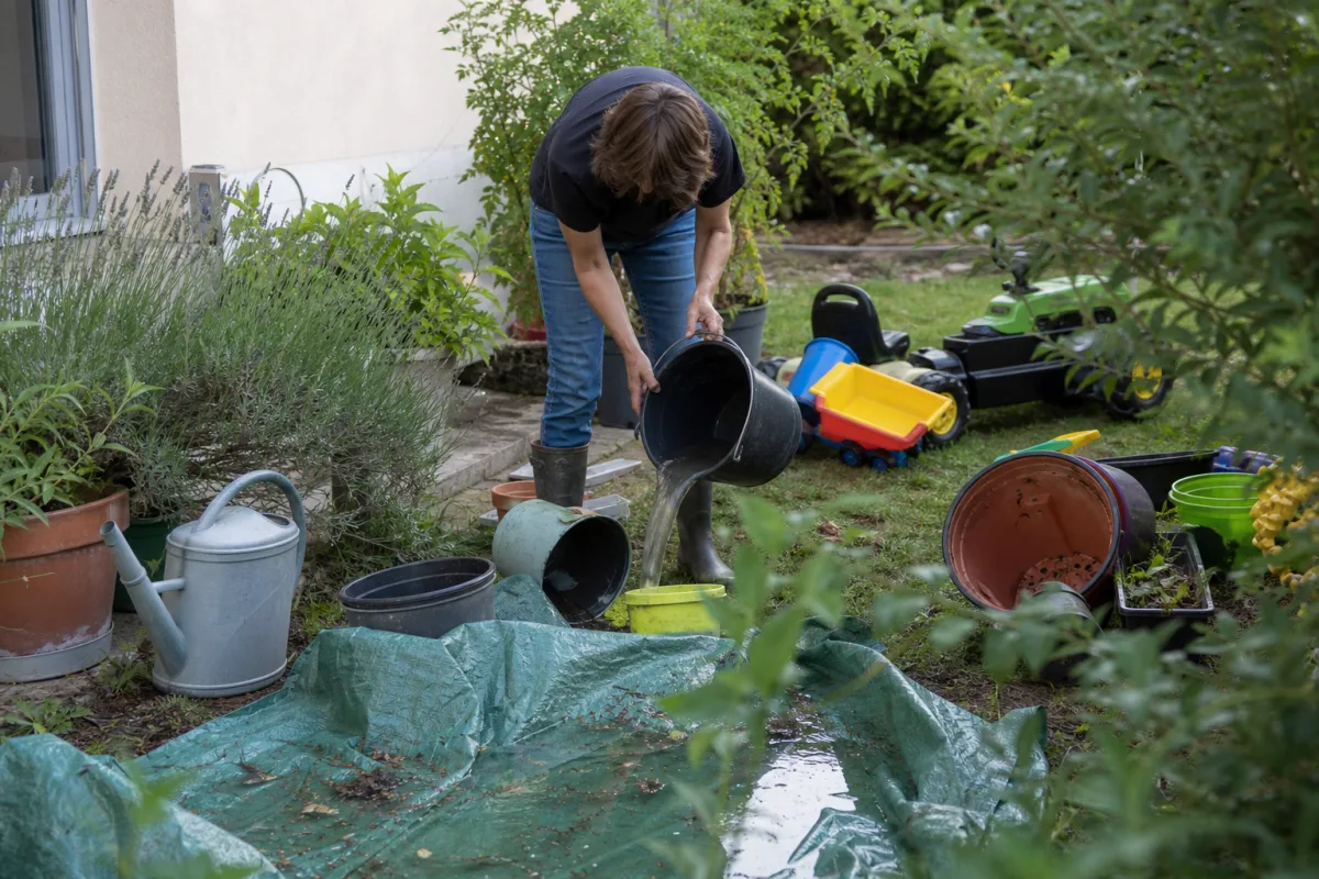 Personne vidant seaux et pots dans un jardin envahi de moustiques tigres
