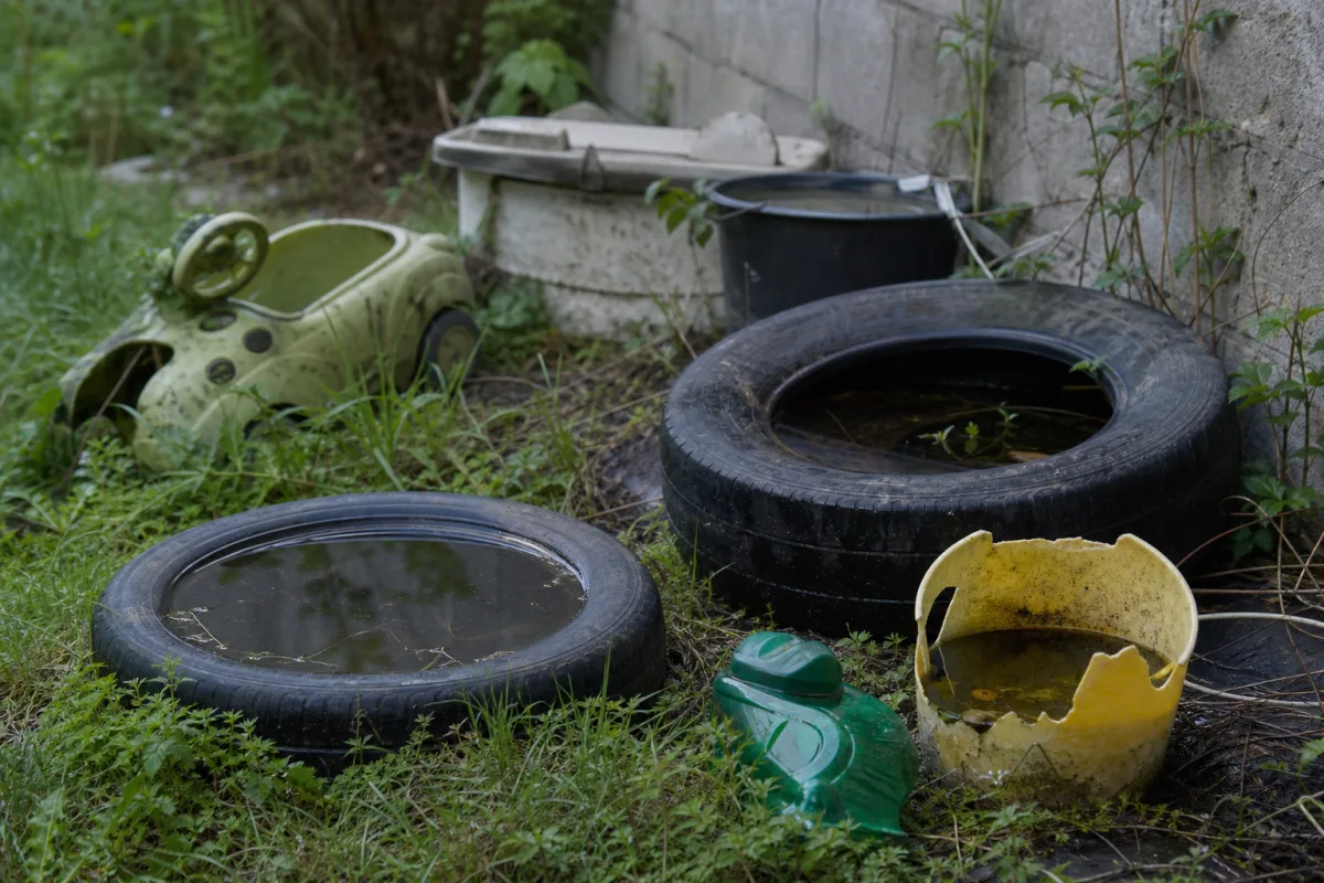 Objets abandonnés remplis d’eau de pluie au fond d’un jardin
