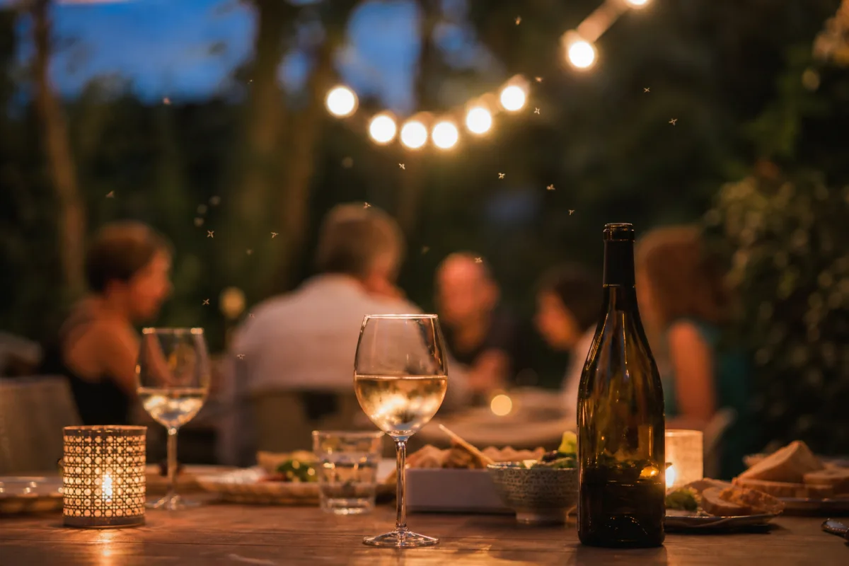 Apéritif en terrasse au crépuscule avec des moustiques dans la lumière