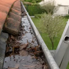 Gouttières, exemple de gîte larvaire