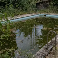 Piscine non entretenue, exemple de gîte larvaire