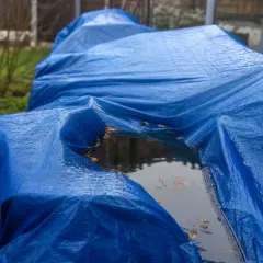 Bâches, exemple de gîte larvaire