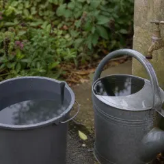 Seaux et arrosoirs, exemple de gîte larvaire