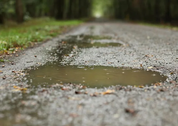 Grande flaque d’eau de pluie dans un creux d’allée gravillonnée, bordée d’herbe
