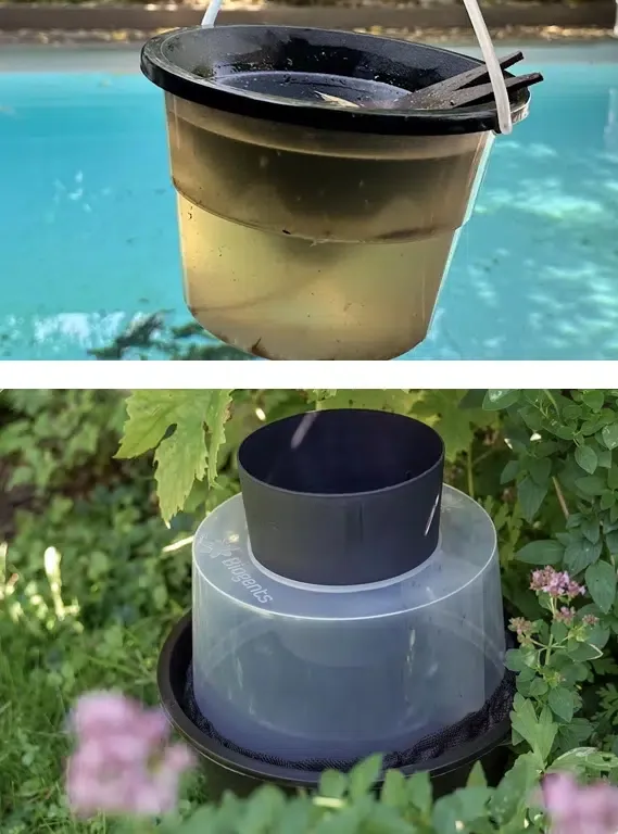 En haut, un seau sombre rempli d’une eau trouble, suspendu au-dessus d’une piscine ; en bas, un piège pondoir noir à cône transparent posé au pied de plantes fleuries