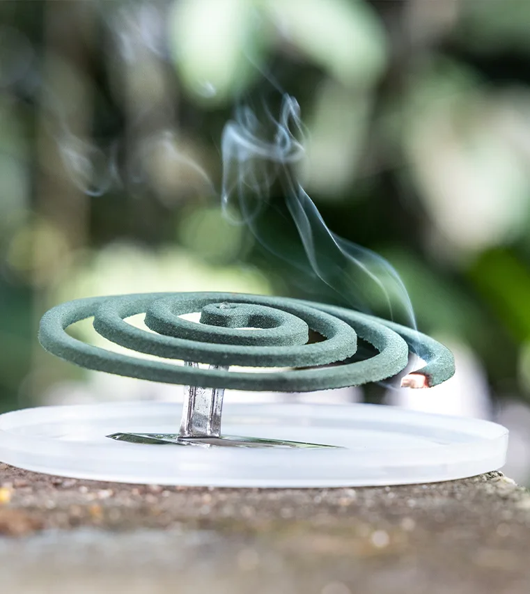Serpentin fumigène vert en spirale qui se consume sur un support, fumée qui s’élève devant un feuillage flou