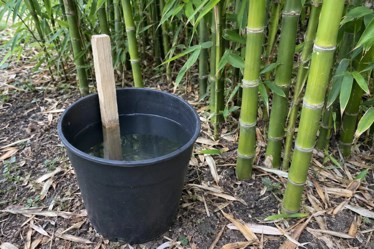 Pot en plastique noir rempli d’eau avec une bande de bois brut dressée contre la paroi, posé au sol à l’ombre d’un massif de bambous