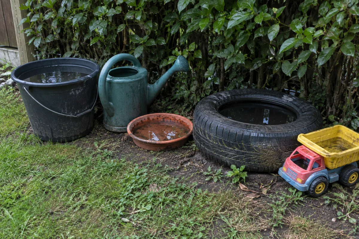 Coin de jardin ombragé avec des objets qui retiennent l’eau de pluie : seau, arrosoir, soucoupe, pneu et jouet d’enfant
