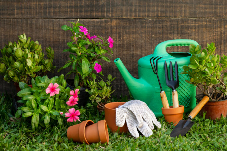 jardin-moustique